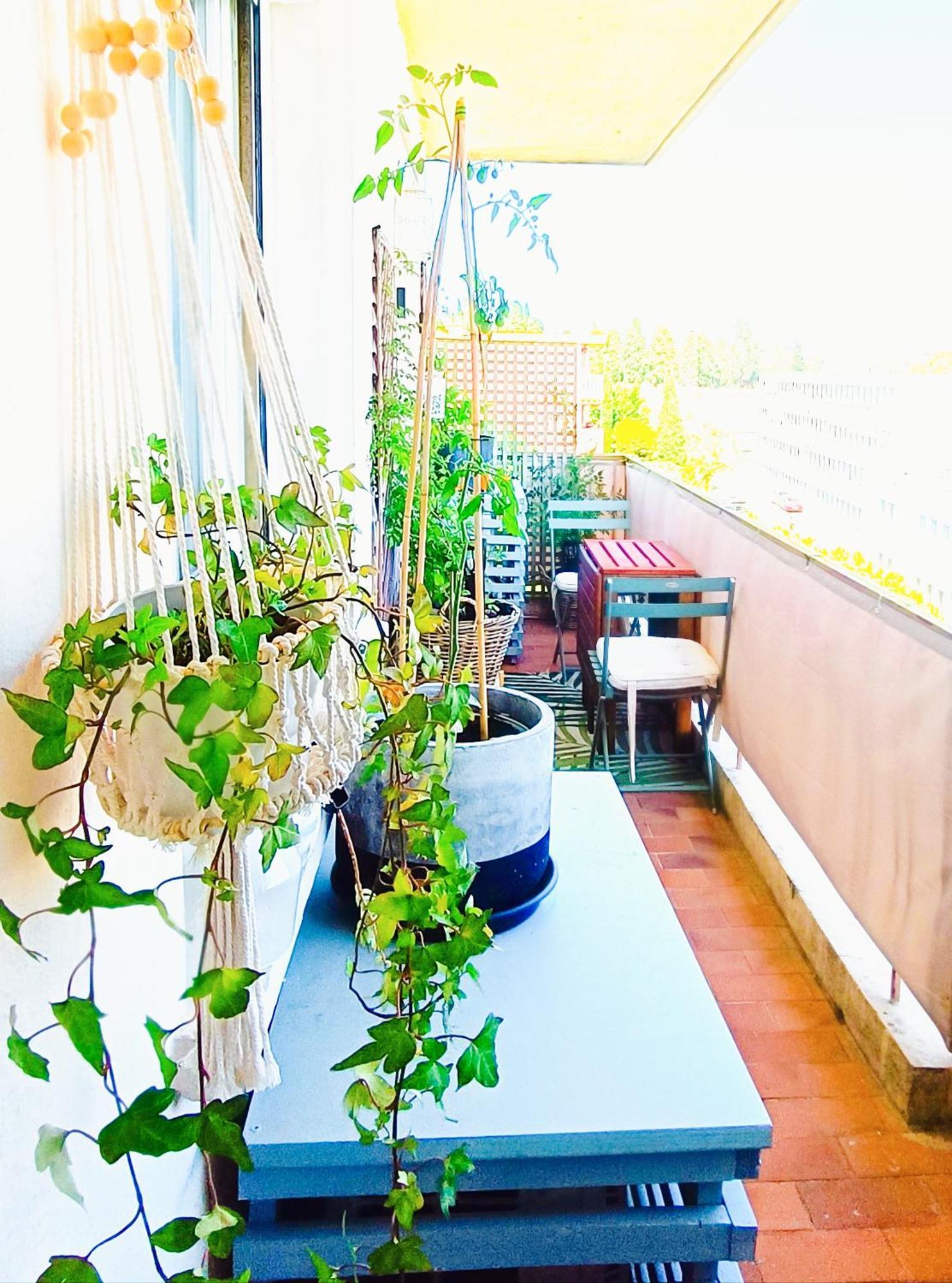 Apartment Nid Cosy